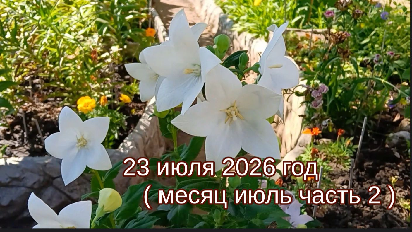 23 июля 2026 год ( месяц июль часть 2 )