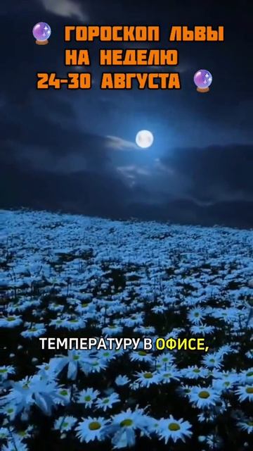 🔮 ГОРОСКОП ЛЬВЫ НА НЕДЕЛЮ 24–30 АВГУСТА 🔮