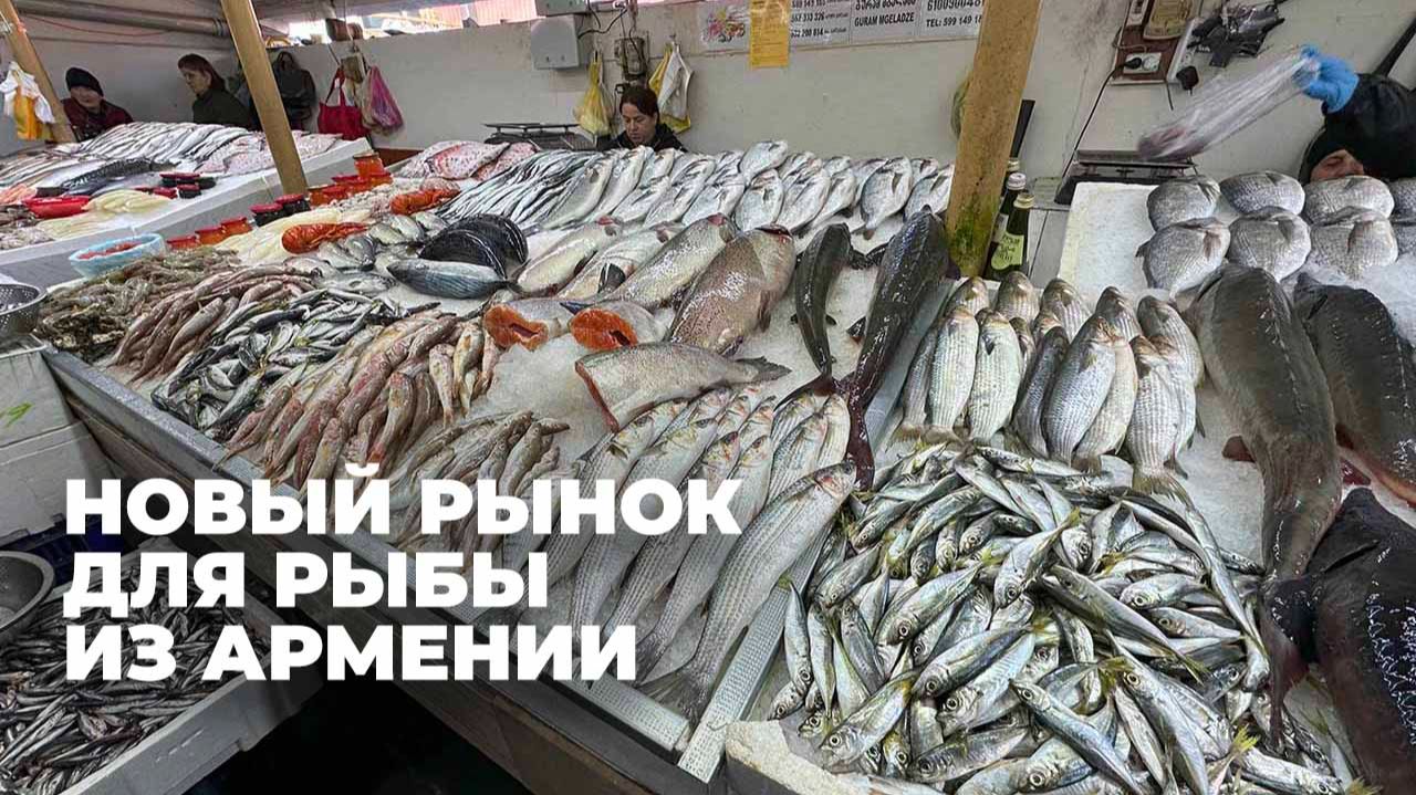 Поставки живой рыбы из Армении в Грузию установили рекорд