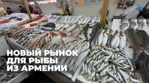 Поставки живой рыбы из Армении в Грузию установили рекорд
