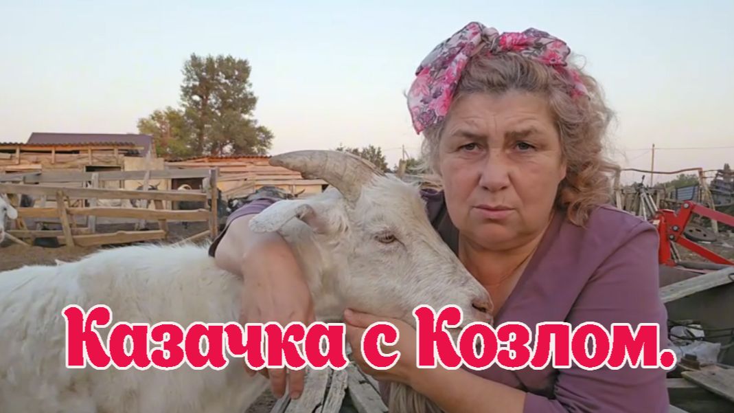 КАЗАЧКА ПРИДОНСКИХ СТЕПЕЙ. КОЗЕЛ И КОЗА.