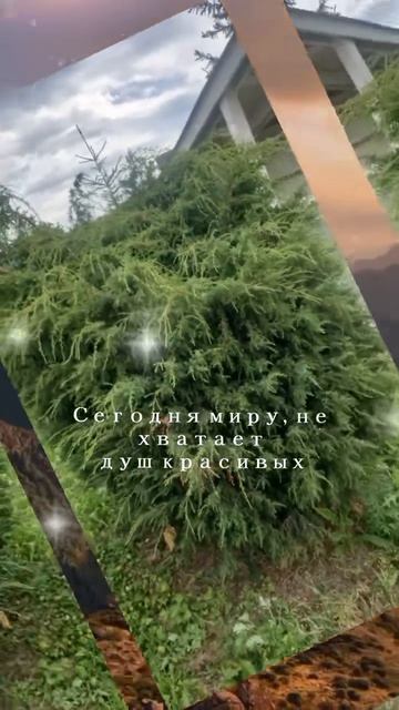 для души