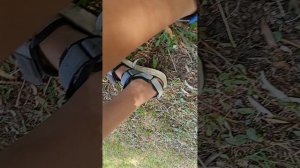 бедные моменты с Максимом 1 выпуск