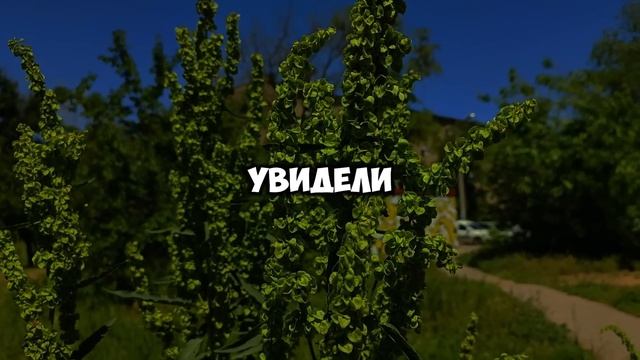 Ослеплённый наследством муж силой заставил жену подписать отказ от имущества. Его крах был гениален!