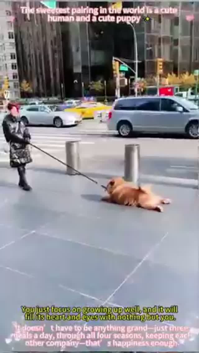 Берегите их и любите!
