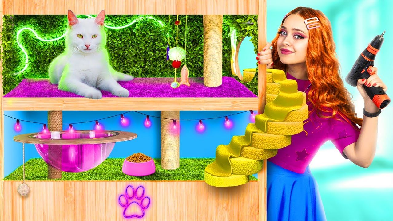 Секретный домик для кота! Строим секретные домики для животных!