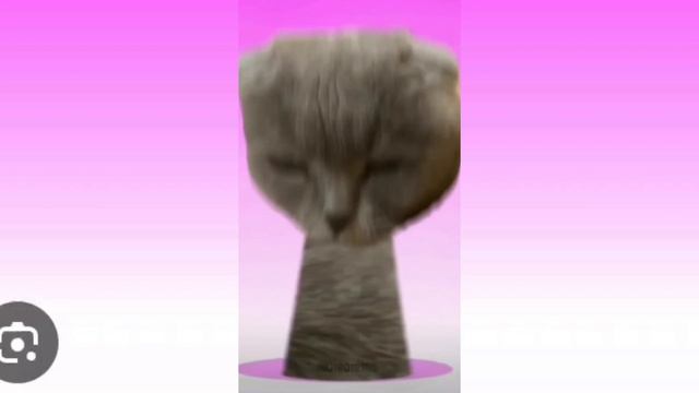 All Sprunki Oc Oliver Tree Cat Om Nom Emoji Cat Venezuela 🇻🇪