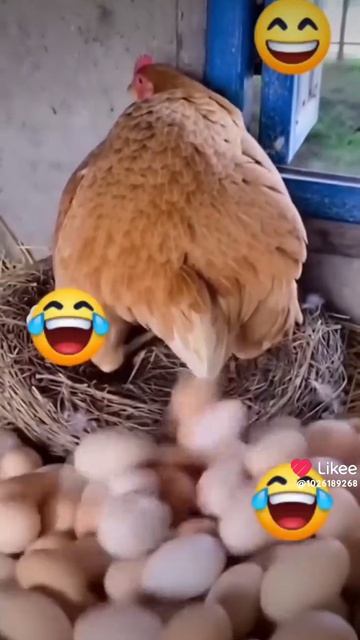 я такого ещё не видел