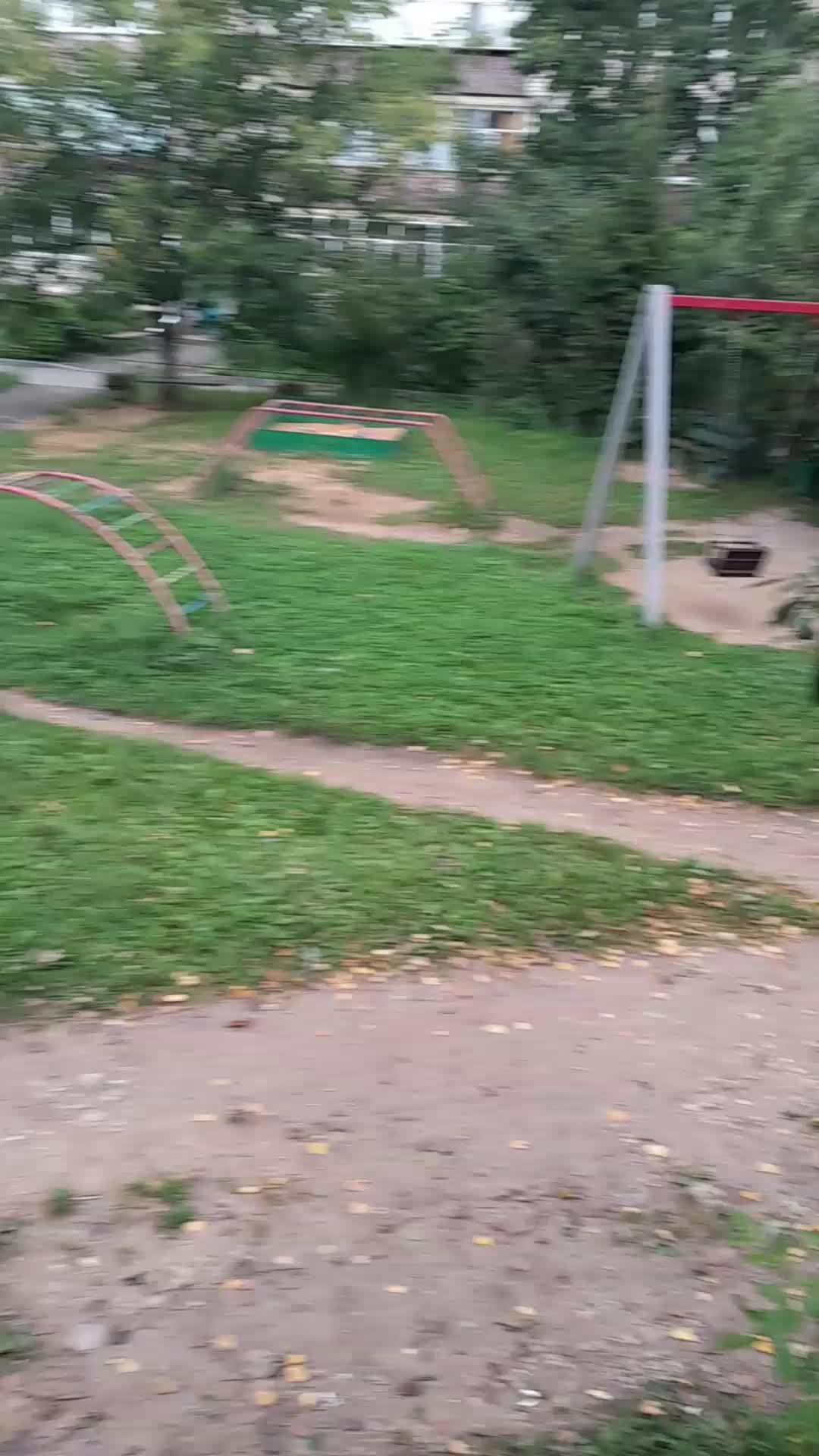 лазеем на дереве