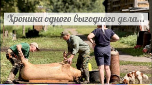 Вчера хозяйство убыточное, а сегодня караван уже в Москве