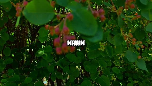 Свекровь и муж-предатель ХОТЕЛИ ОТОБРАТЬ МИЛЛИОНЫ! Но когда они пришли на сделку, их ждала моя месть