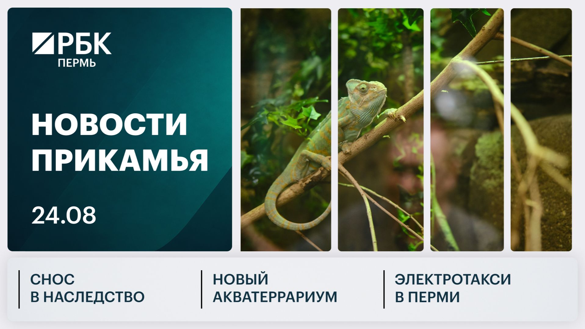 Снос в наследство | Новый акватеррариум | Электротакси в Перми