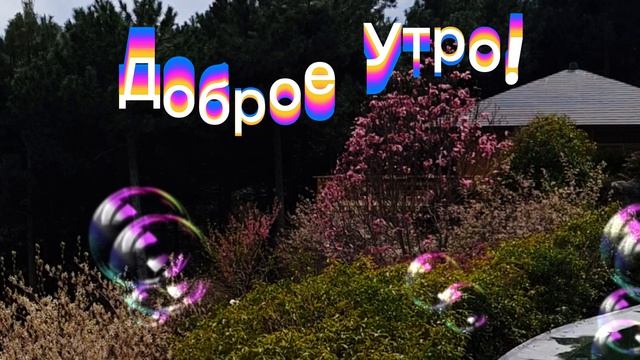 Доброе Утро!  Прекрасного Дня!
