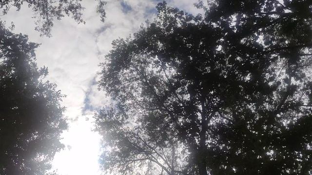 24  августа магический ☀️ прогноз погоды от волшебника Ивана Ивановича Кулебякина из Москвы