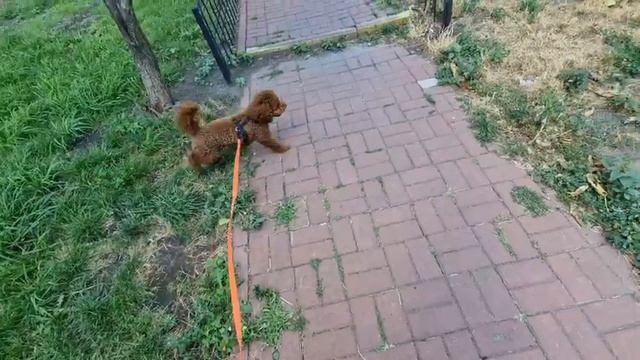 1000188199.mp4