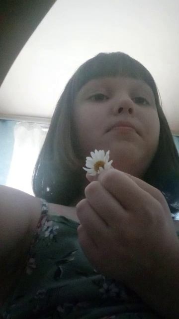🌼ромашка 🌼