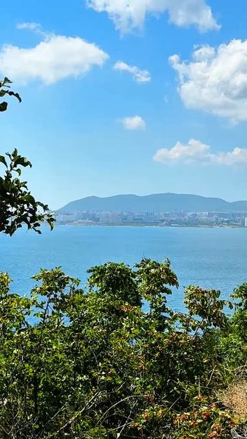 Там где море. Новороссийск.