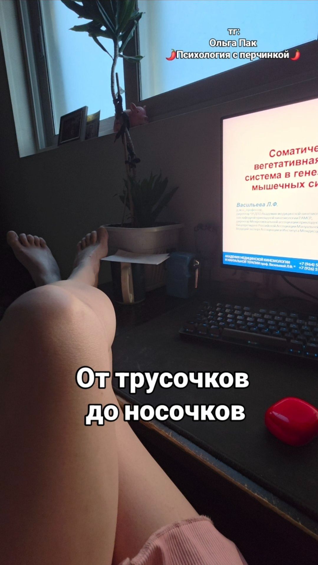 От трусочков до носочков