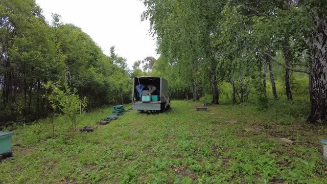 Пчелы с дальней кочевки благополучно приехали домой пасека Старчевских Сибирь
