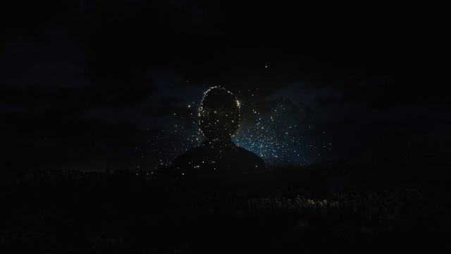 Martin Garrix & U2 - Fireflies (Official Video)
