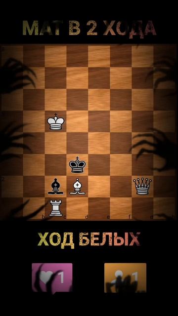 Реши, чтобы тени тебя не поглотили!