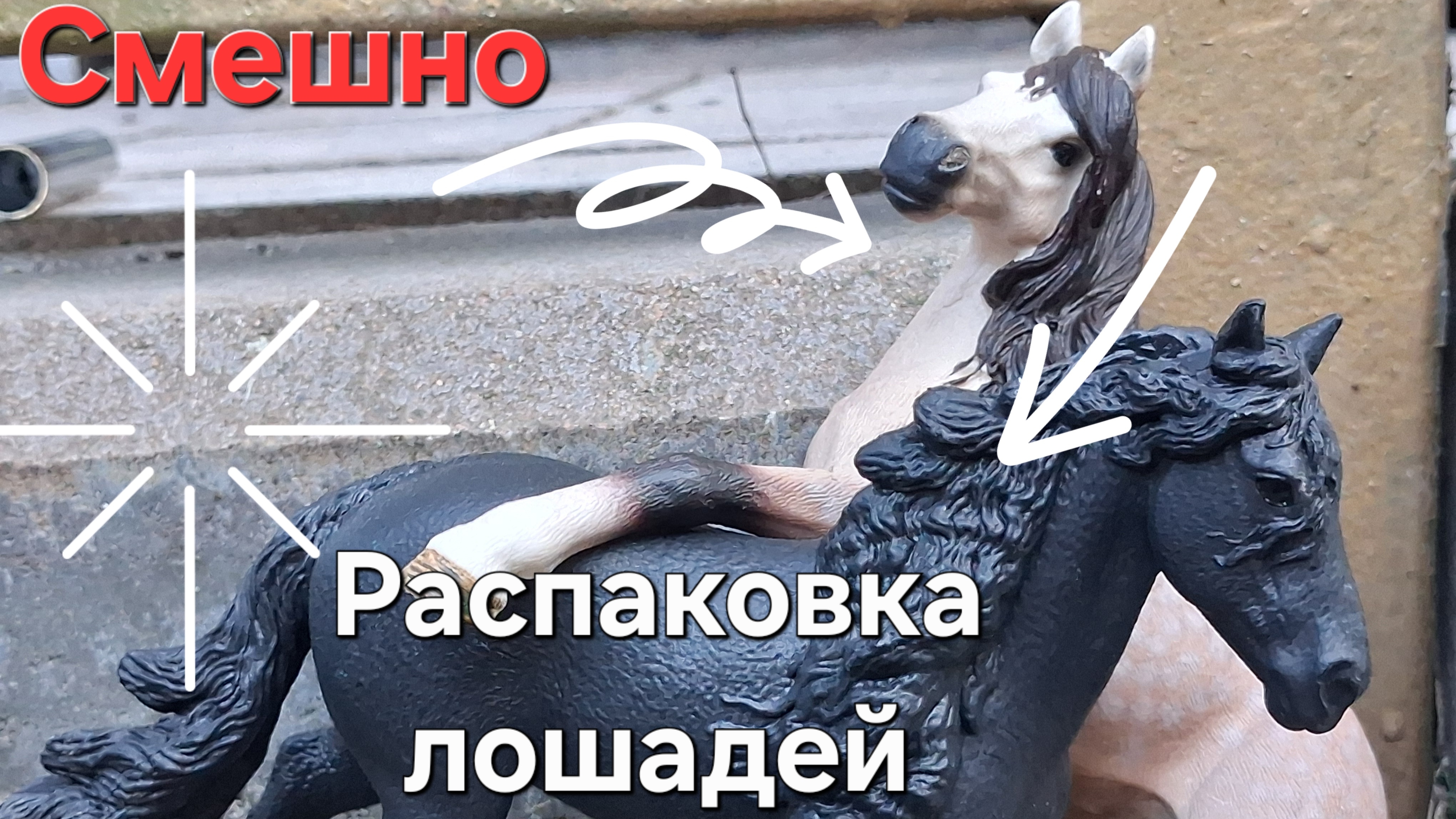 Рапаковка лошадей шляйх