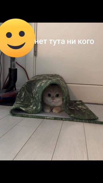 24-08-2026