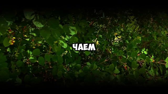Снимай деньги, жена не заметит! – шептал муж свекрови. Но утром их ждал пустой счёт и суд