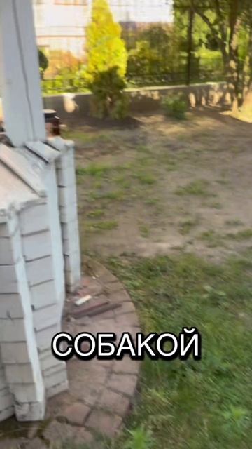 типичный я на природе.. #тренд#стрим#блог#эдит