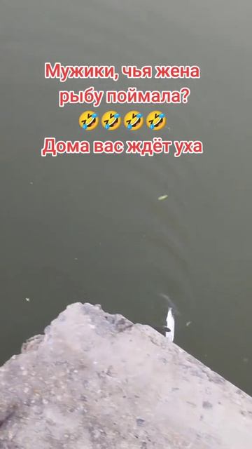 24-08-2026