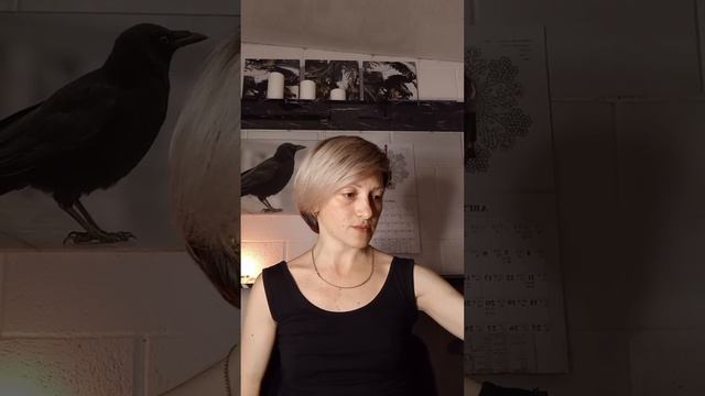 ПОСЛАНИЕ ОТ ТЁМНЫХ. ВЫ И ВАШИ СВЕРШЕНИЯ.