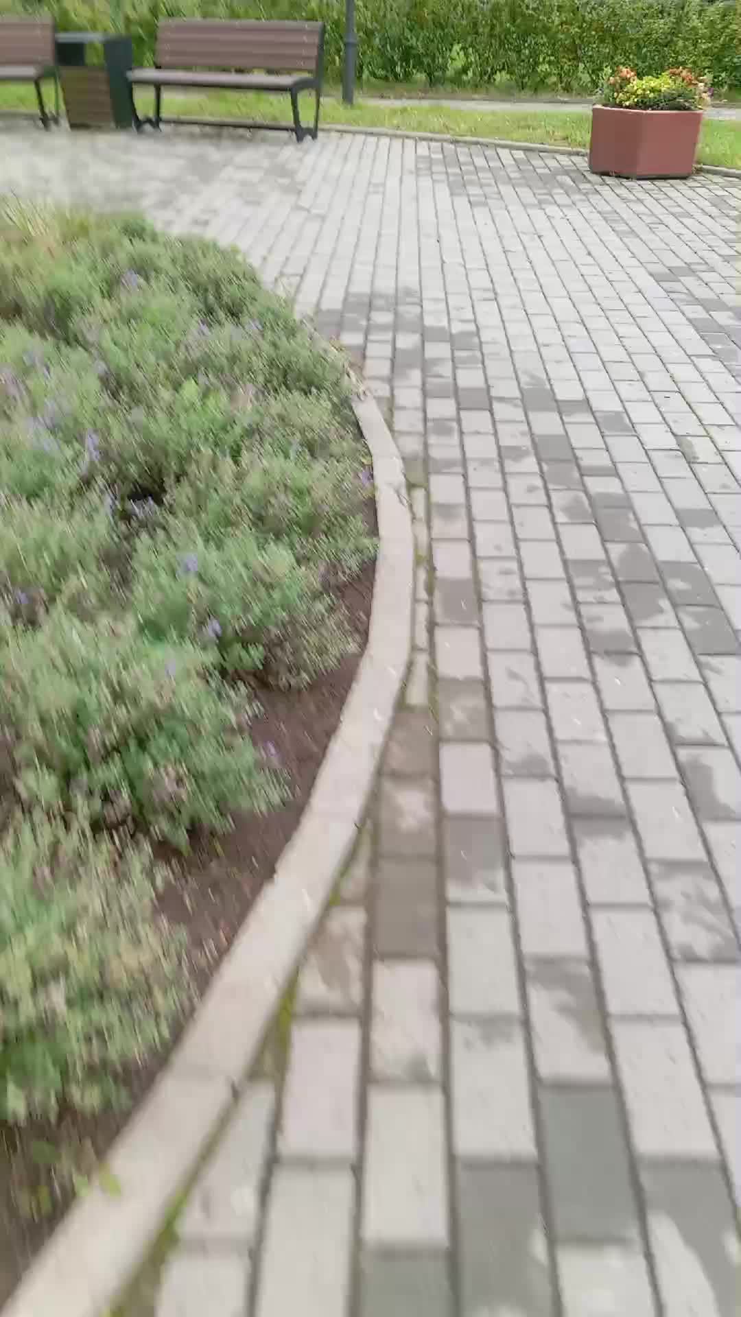 Зубик