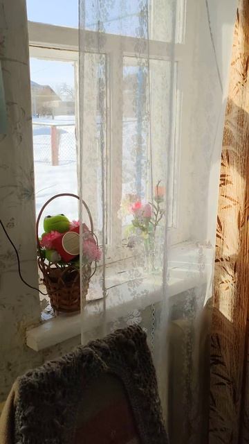 73 De R3T-100  Belka In A Village House  Белка в деревенском доме