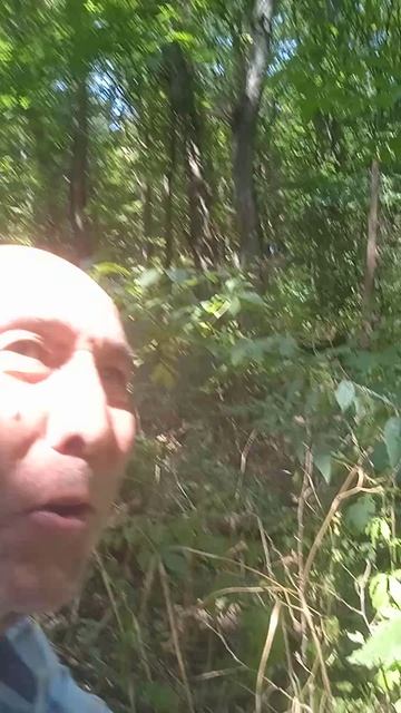 Боевая крапива. Стих.