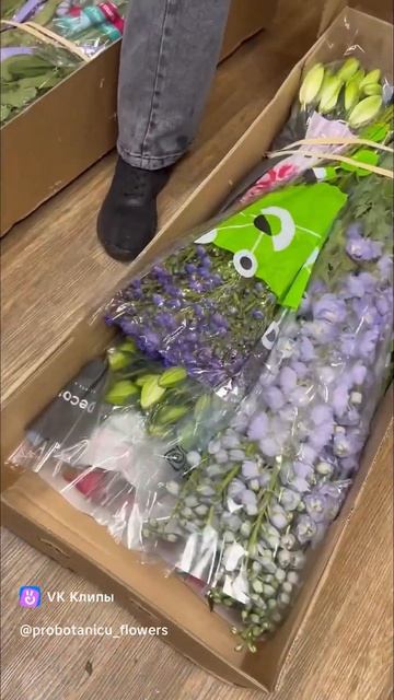 Сегодня очень важный день потому что приехали ОНИ! мы их очень ждали! И вот ОНИсезон ПИОНОВ!