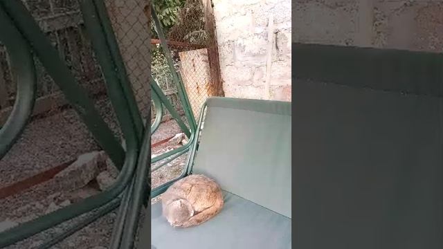 Что происходит с людьми:(