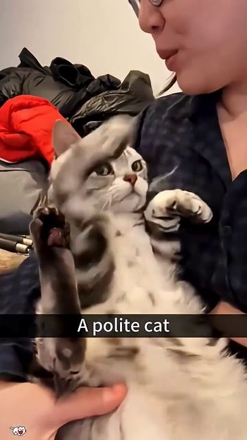 CAT BUSINESS