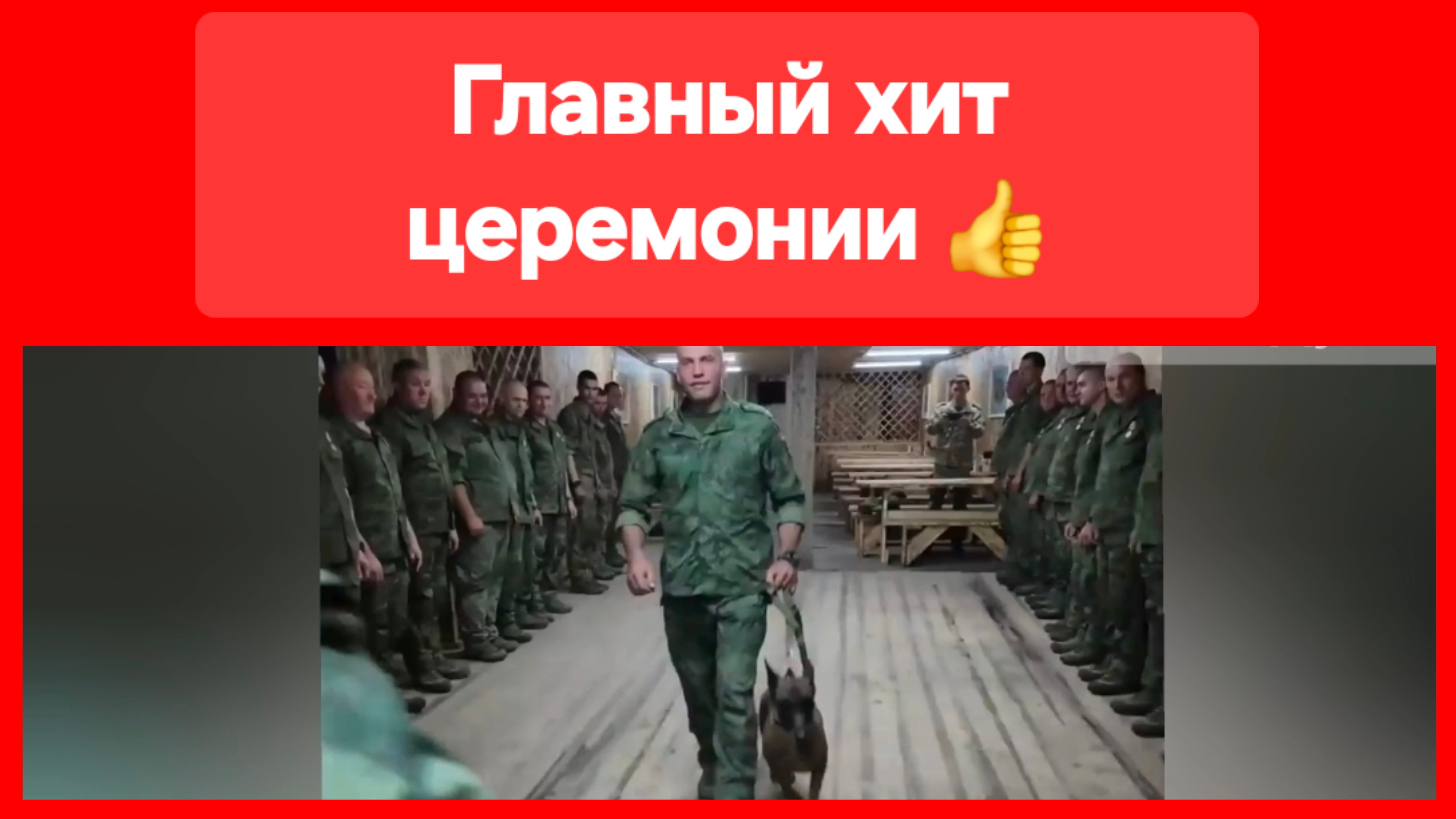 Герои недели: наши инженеры и... хвостатый боец!