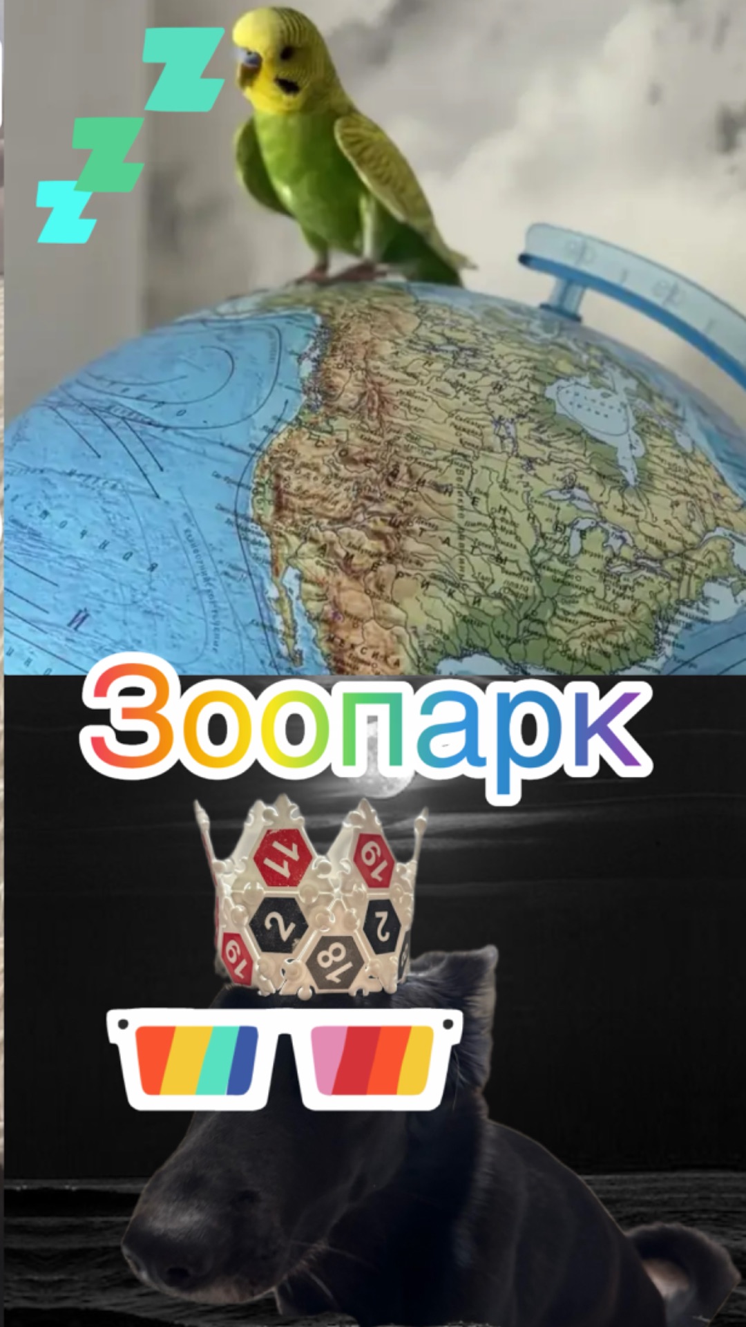 Домашний зоопарк