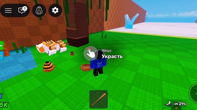 вырастил яйцо