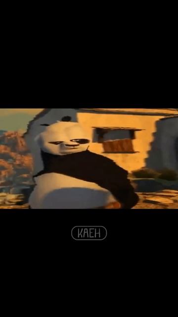 17800.mp4