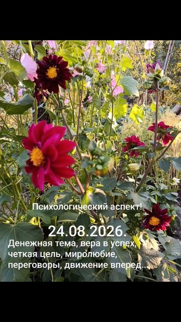 24.08.2026.✨🌈☀️Психологический аспект дня! Новый путь достижения успеха!#разум #чувства #душа #дела