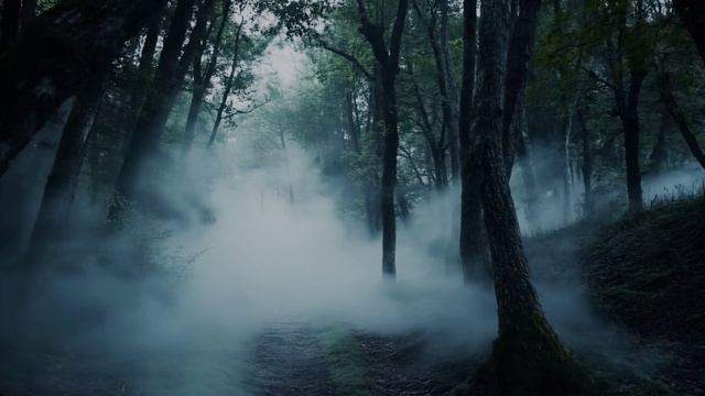 За окном - догорает - фиолетовый день