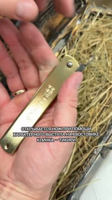 Складной японский нож Nagao Higonokami