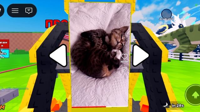 украл секретное яйцо в роблокс!