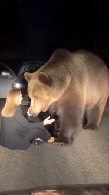 Она просто вышла к МЕДВЕДЮ 🐻 #Shorts #mimi #нейросети #Ai #Ии #Контент