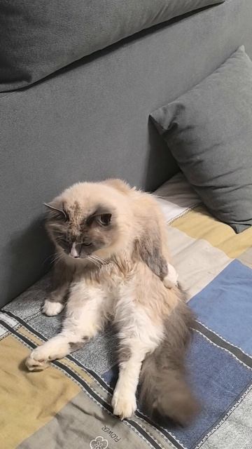Какая котлета 🍔 🤔🤷