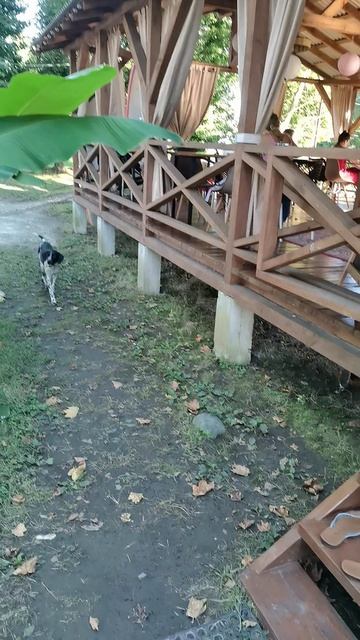 VID_20260819_180928