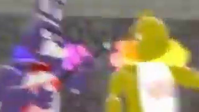 Zajcu37 Deleted Video Bomb Surprise Reupload Zajcu37 Reupload.