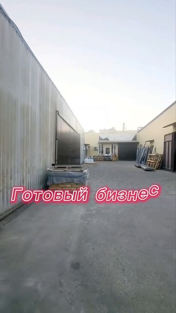 Золотая Рыбка